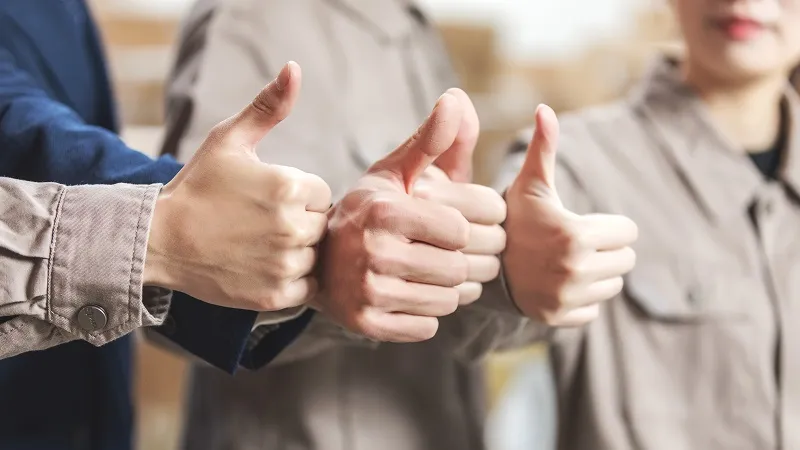 501121239 1 501121239 1